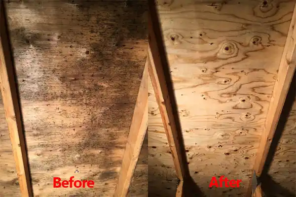 water damage restoration service Sloan